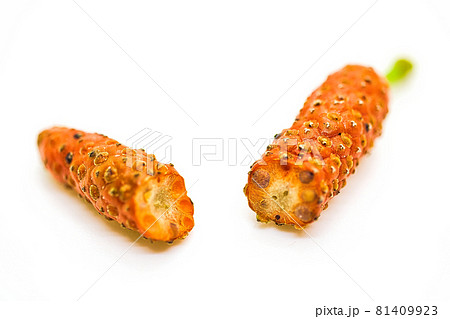 ヒハツの断面 81409923