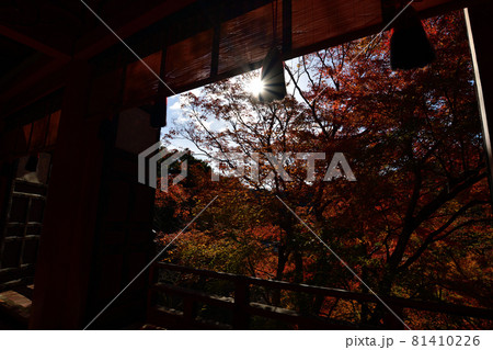 談山神社の紅葉 談山神社の紅葉 81410226