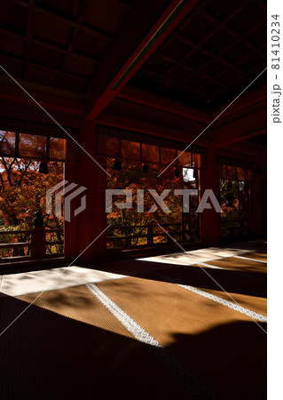 談山神社の紅葉 談山神社の紅葉 81410234
