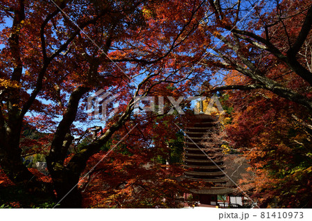談山神社の紅葉 談山神社の紅葉 81410973