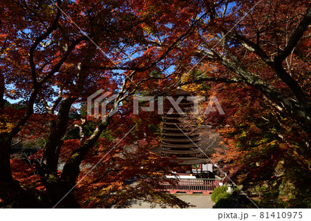 談山神社の紅葉 談山神社の紅葉 81410975