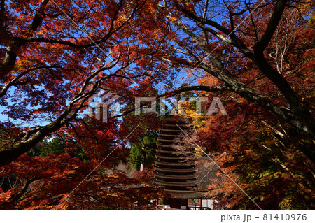 談山神社の紅葉 談山神社の紅葉 81410976