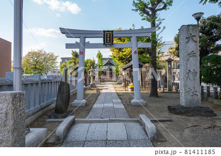 神社仏閣　大戸神社の参道　神奈川県川崎市中原区 81411185