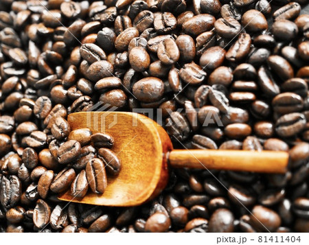 コーヒー　スコップ　メジャー 81411404