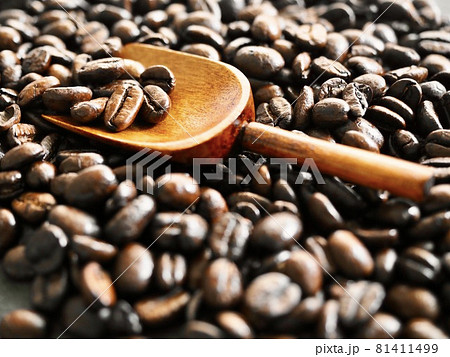 コーヒー　スコップ　メジャー 81411499