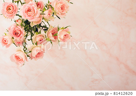 ピンクの背景にピンクの薔薇の花束 81412620