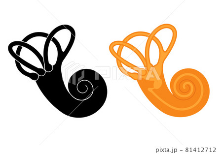 Vestibular apparatus anatomy 81412712