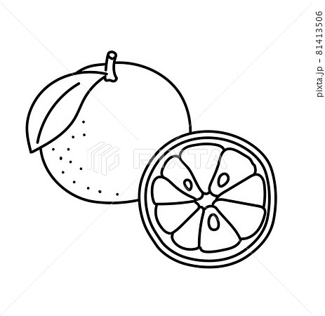 フルーツ カットイラスト 農産物 果物 果実 白黒 モノクロのイラスト素材