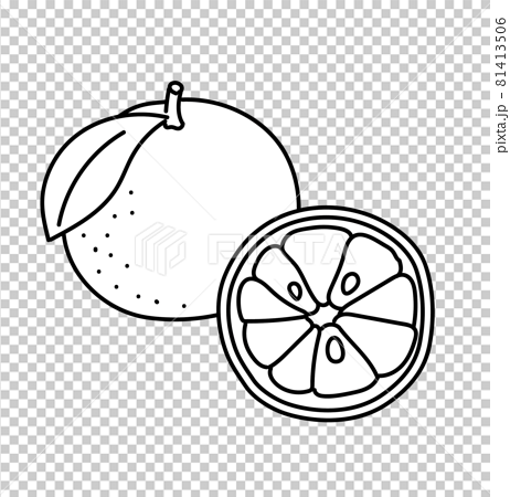 フルーツ カットイラスト 農産物 果物 果実 白黒 モノクロのイラスト素材