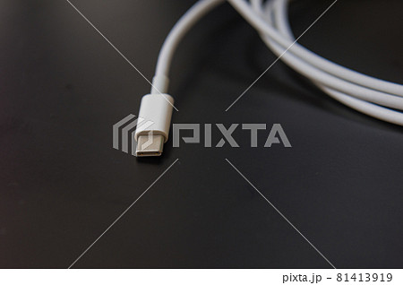 白いUSBケーブル 白いUSBケーブル 81413919
