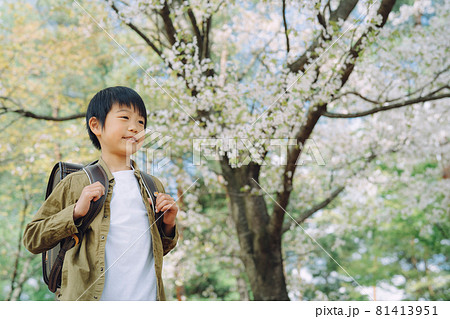 小学生の男の子(笑顔) 小学生の男の子(笑顔) 81413951