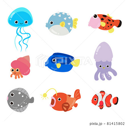 魚 魚類 サカナ 81415802