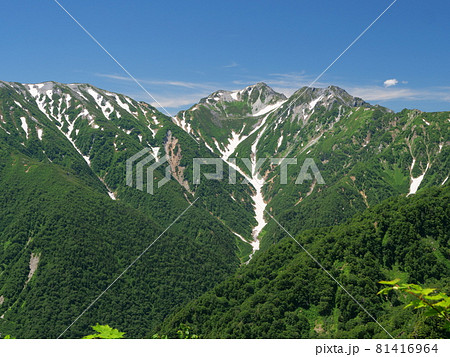 種池山荘から針ノ木岳と大雪渓 81416964