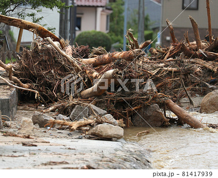災害 81417939