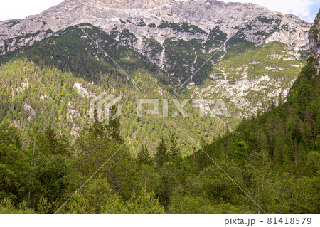 View of the Dolomites View of the Dolomites 81418579