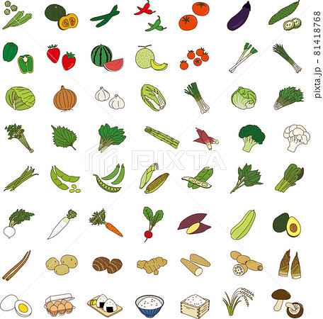 野菜　穀物　ベクター　セット　農産物　農作物　 81418768