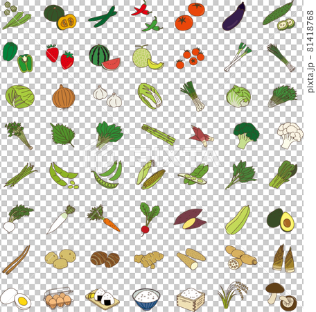 野菜 穀物 ベクター セット 農産物 農作物 野菜 穀物 ベクター セット 農産物 農作物 81418768