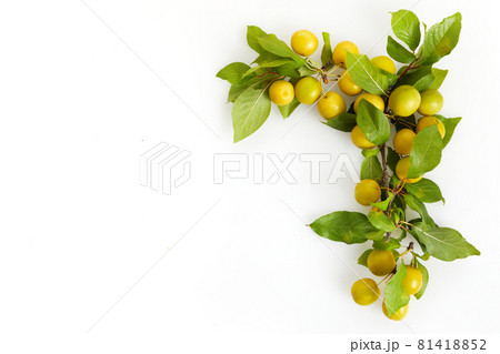 Stylish composition of colorful fruits. Top view on white background. Autumn flat lay Stylish composition of colorful fruits. Top view on white background. Autumn flat lay 81418852