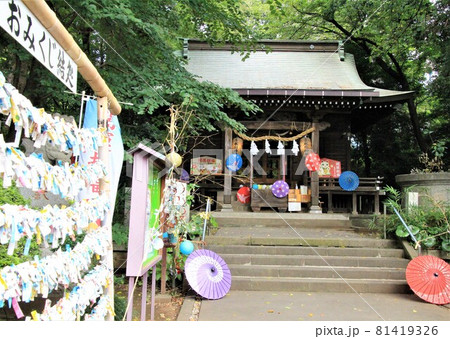 馬場氷川神社 81419326