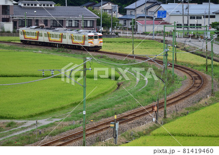 田んぼのカーブを通過する越後線115系電車 田んぼのカーブを通過する越後線115系電車 81419460