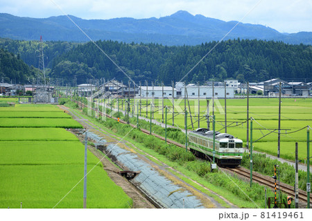 なだらかな丘陵地帯を背景に緑鮮やかな田んぼを走る越後線115系電車 なだらかな丘陵地帯を背景に緑鮮やかな田んぼを走る越後線115系電車 81419461