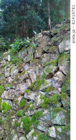 佐賀県有田町の唐船城の城跡の山の中に残る苔むした野面積みの歴史ある石垣 佐賀県有田町の唐船城の城跡の山の中に残る苔むした野面積みの歴史ある石垣 81419781