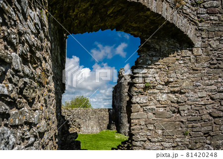 Ruined Llansteffan castle in Carmarthenshire, Wales, UK 81420248