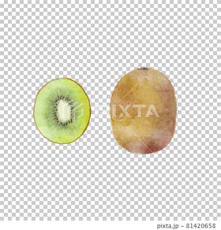 水彩風くだものイラスト キウイフルーツの切り口のイラスト素材
