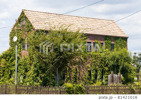 日本のとても美しく古い建物 81421016