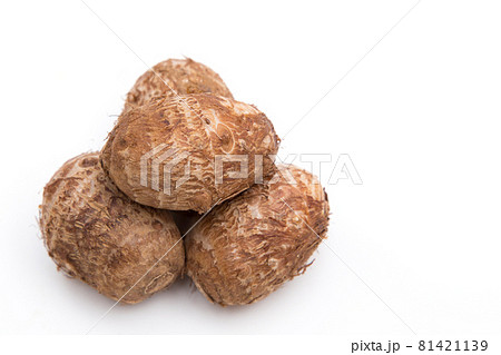 石川早生 サトイモ 石川早生 サトイモ 81421139