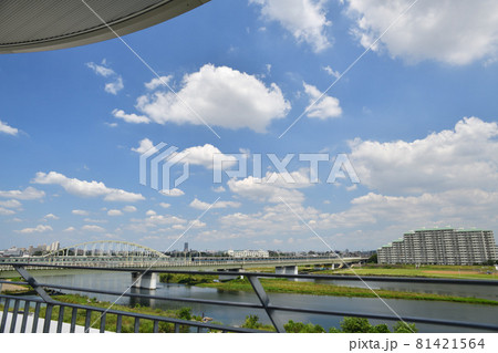 多摩川の夏景色 81421564