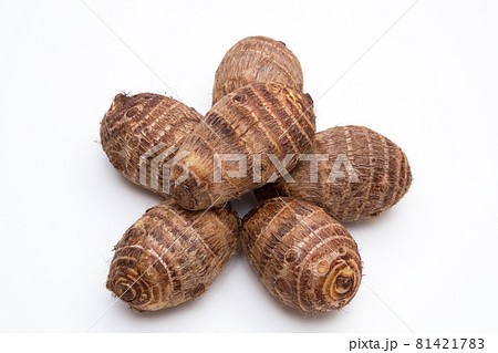 里芋(サトイモ) 81421783