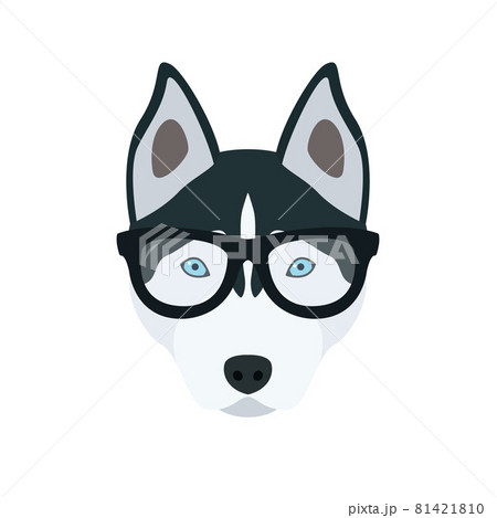 Husky in glasses.  81421810