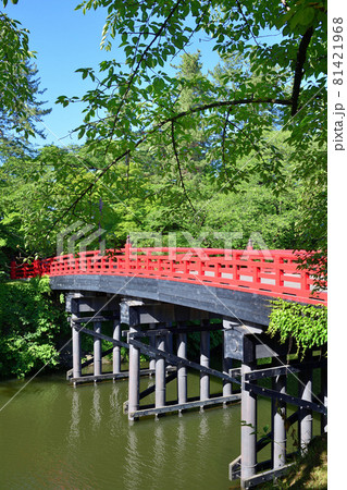 弘前城 杉の大橋 弘前城 杉の大橋 81421968
