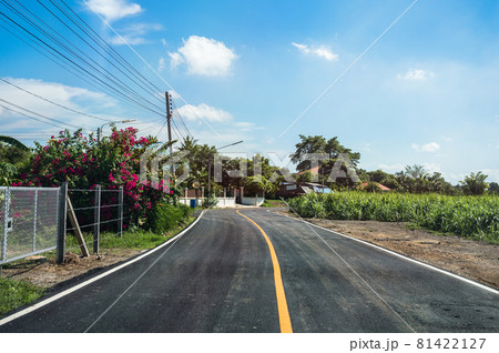 Curved asphalt road through sugarcane plantation in country road Curved asphalt road through sugarcane plantation in country road 81422127