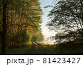 Spring sunrise over the lake on a cloudless weather 81423427