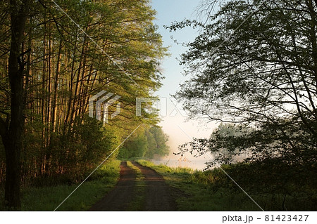 Spring sunrise over the lake on a cloudless weather Spring sunrise over the lake on a cloudless weather 81423427