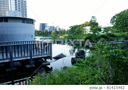 しながわ区民公園　水族館 81423462