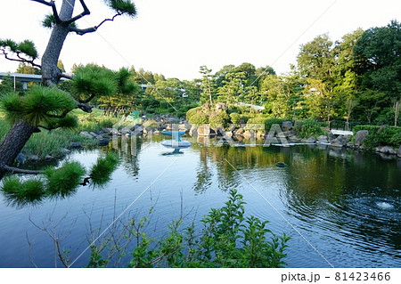 しながわ区民公園　水族館 81423466