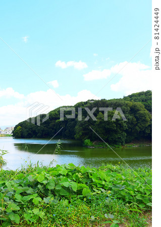 岡ミサンザイ古墳【世界遺産】 岡ミサンザイ古墳【世界遺産】 81424449
