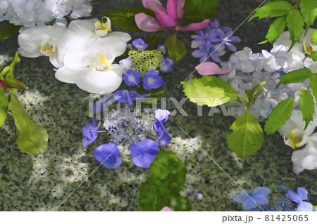 水中花 水中花 81425065