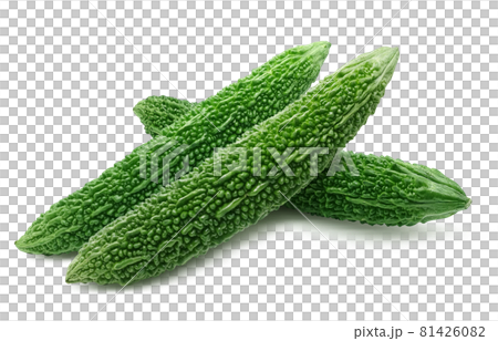 Bitter melon illustration real set with shadow 81426082