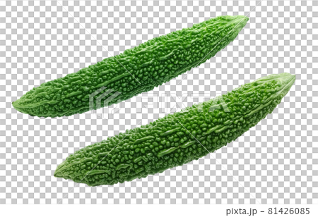 Bitter melon illustration real single Bitter melon illustration real single 81426085