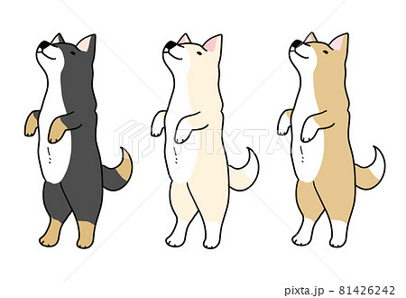2本足で立つ3匹の日本犬のイラストのイラスト素材