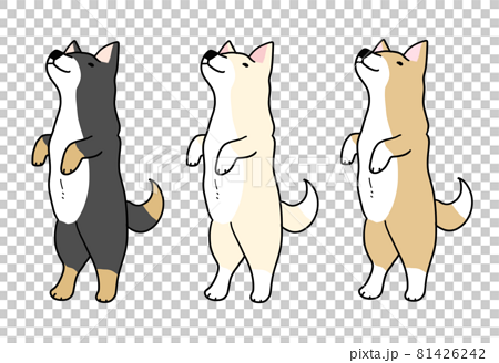 2本足で立つ3匹の日本犬のイラストのイラスト素材