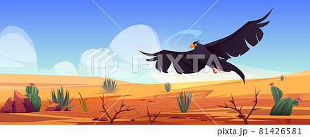 Black eagle over desert landscape, falcon or hawk 81426581