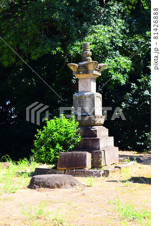 野中寺【史跡】 野中寺【史跡】 81426888