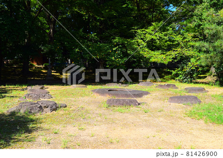 野中寺【史跡】 野中寺【史跡】 81426900