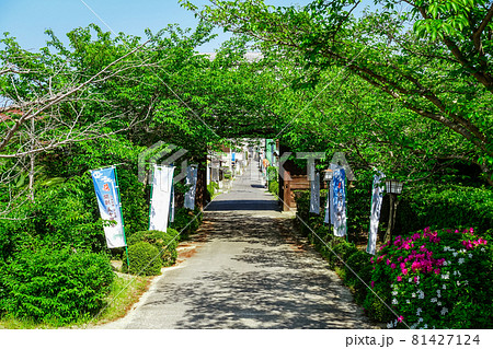 香西寺は四国別格二十霊場 第十九番の古い寺院(香川県高松市) 香西寺は四国別格二十霊場 第十九番の古い寺院(香川県高松市) 81427124