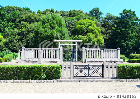 野中ボケ山古墳 81428165